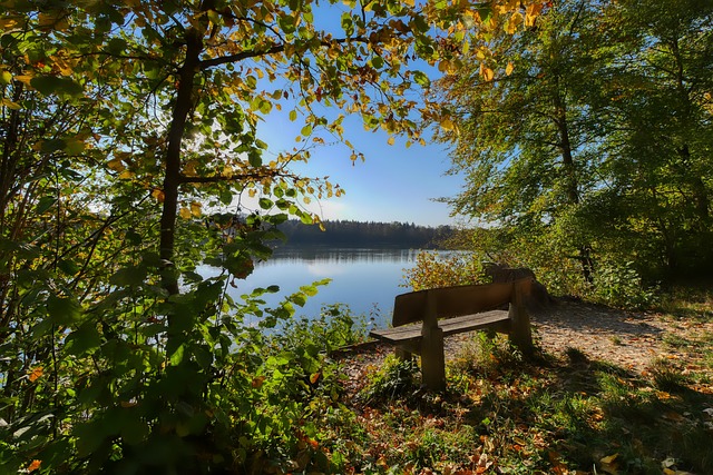 特别是在锋 特别是在锋