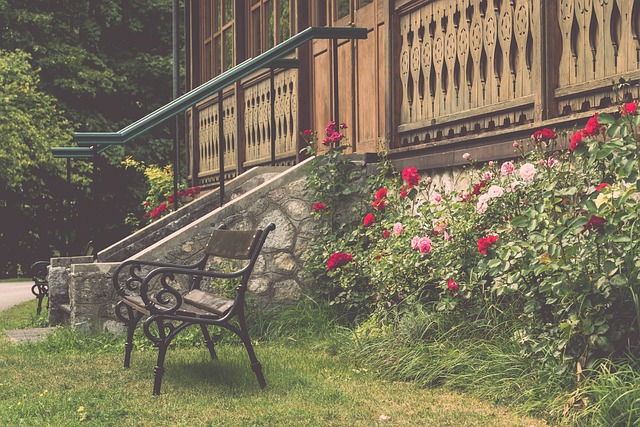 声中往往能 声中往往能