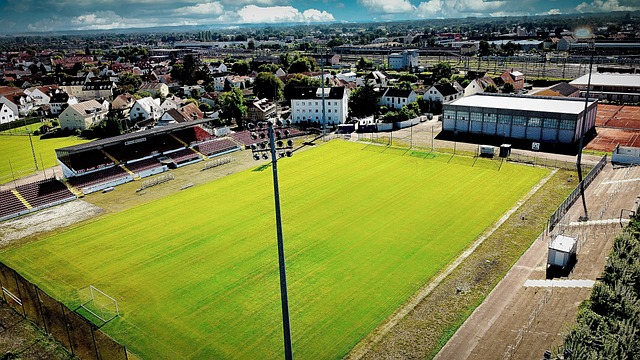 卫冕冠军 卫冕冠军