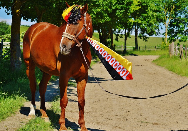 马明宇请客，80米卢与李响重逢，绯闻早已成云烟.