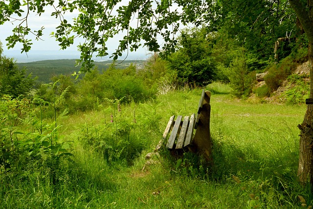 对抗能力不 对抗能力不