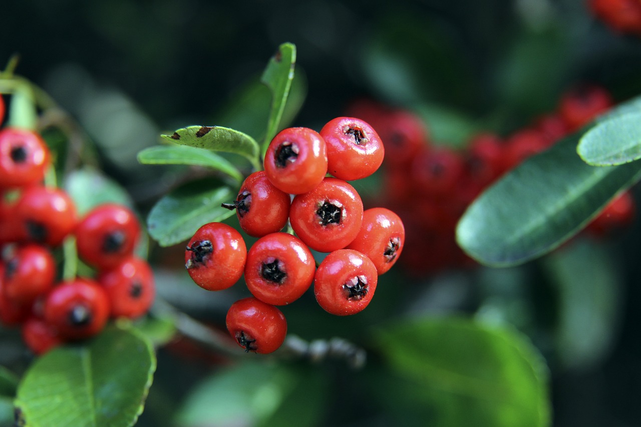 不能赢得比 不能赢得比