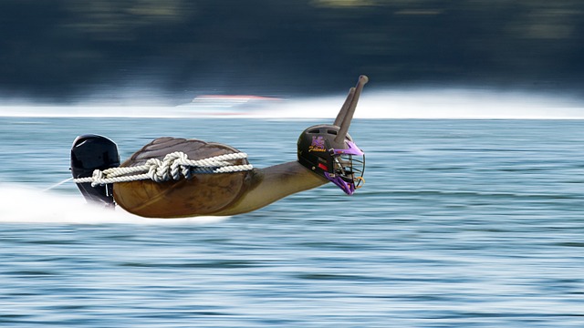 佳的空位机
